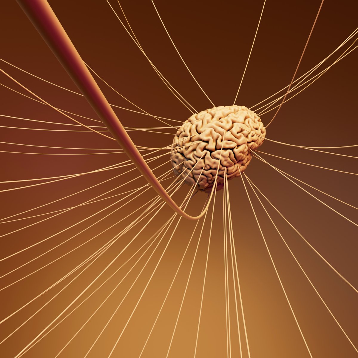 Le nerf vague comme levier de régulation : apports de la thérapie cranio-sacrale biodynamique